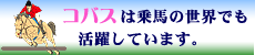 コバスは乗馬の世界でも活躍